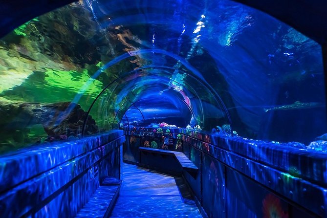 Sea Life Brighton Admission Ticket - How long should you allow?