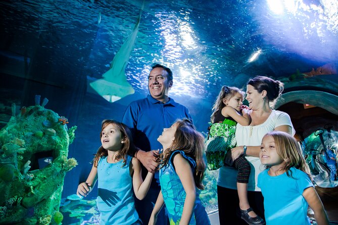Sea Life Charlotte Concord Aquarium Admission Ticket - Five things to know before you go