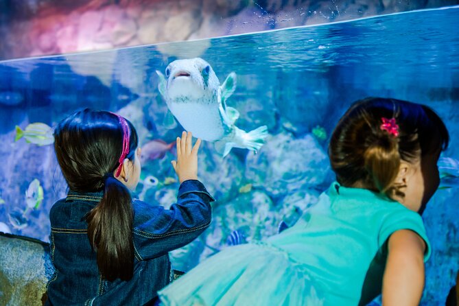 Sea Life Charlotte Concord Aquarium Admission Ticket - Conservation, Talks, and Animal Care