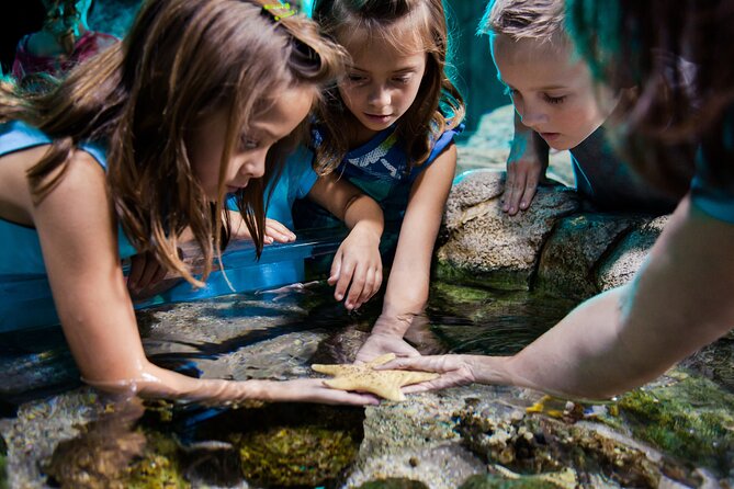Sea Life Charlotte Concord Aquarium Admission Ticket - How Long Should You Stay?