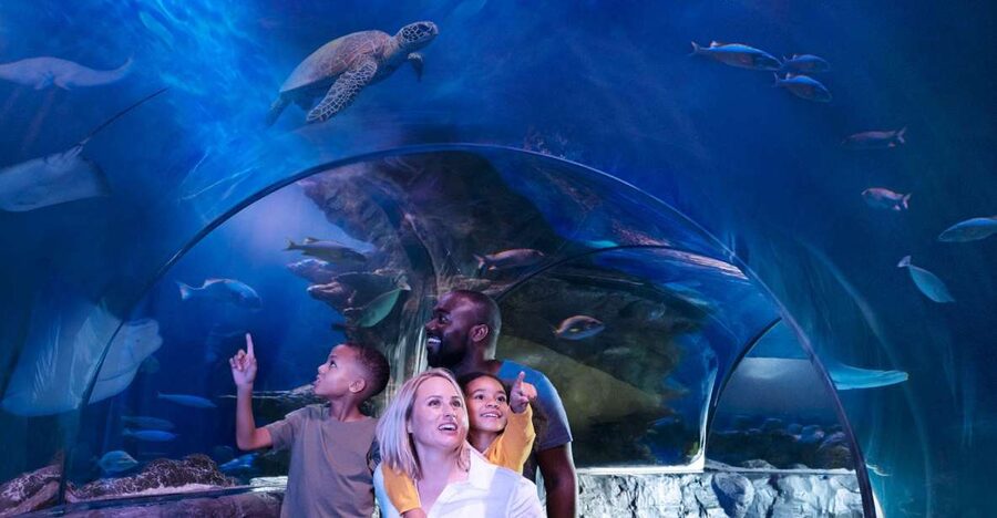 SEA LIFE Charlotte-Concord Aquarium General Admission - Key points to know before you go