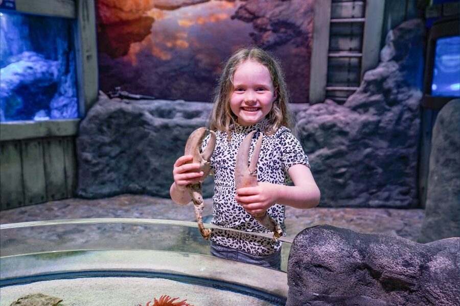 SEA LIFE Great Yarmouth - Key points to know before you go