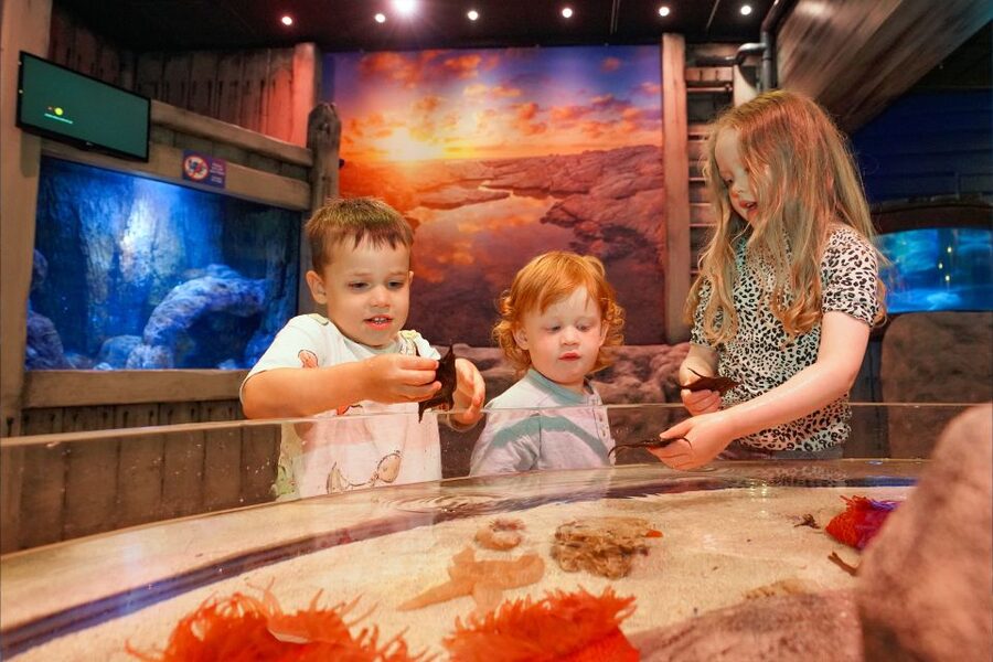 SEA LIFE Great Yarmouth - Starting at Marine Parade in Great Yarmouth