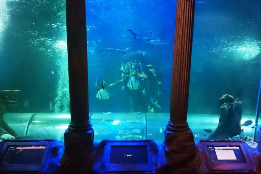 SEA LIFE Great Yarmouth - Finding the Moon Jellyfish in Jelly Invaders