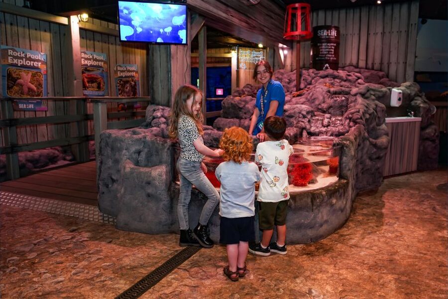 SEA LIFE Great Yarmouth - Using talks, feeding times, and the quiz trail