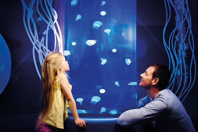 SEA LIFE Great Yarmouth General Admission - The Atlantis Ocean Display and Tunnel