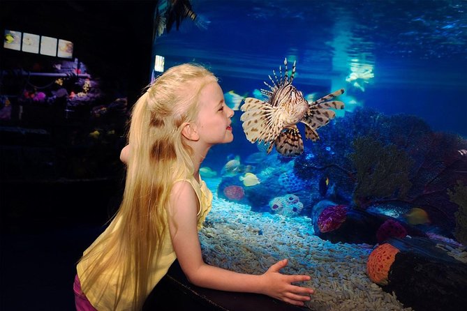 SEA LIFE Great Yarmouth General Admission - A Hands-On Rockpool Stop