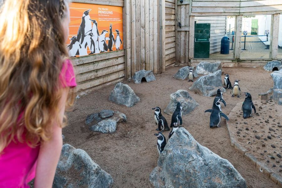 Sea Life Hunstanton - Key points to know before you go