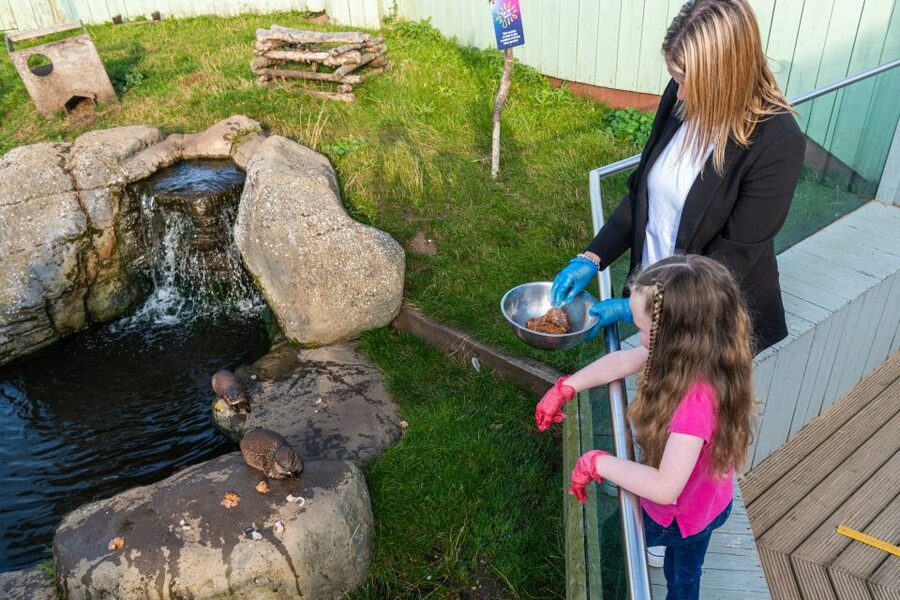 Sea Life Hunstanton - What the staff and animals add