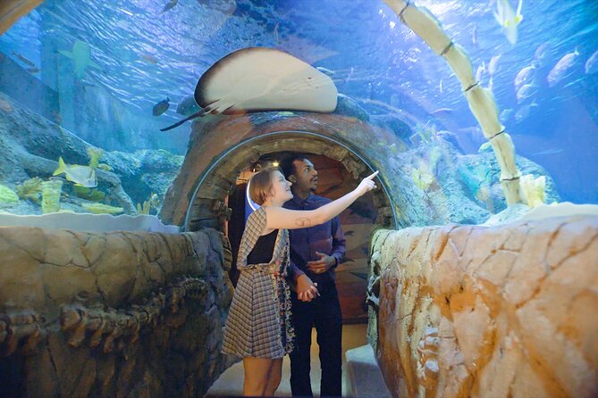 SEA LIFE Kansas City Aquarium Admission Ticket - The aquarium route, from tropical fish to sharks