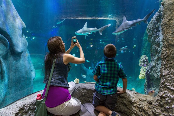SEA LIFE Kansas City Aquarium Admission Ticket - Touchpools and the hands-on stops