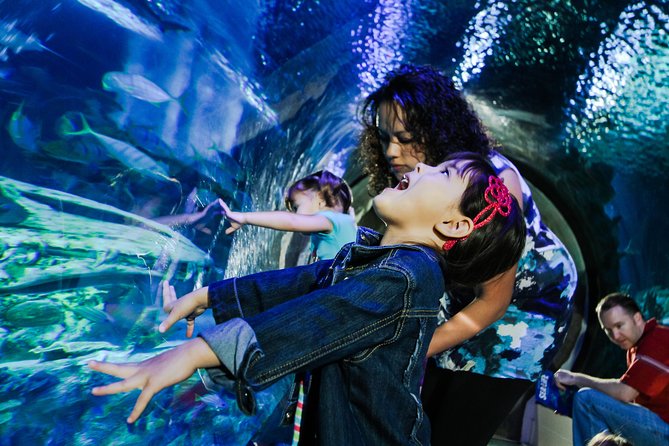 SEA LIFE Kansas City Aquarium Admission Ticket - Talks, feedings, and the best way to spend two hours