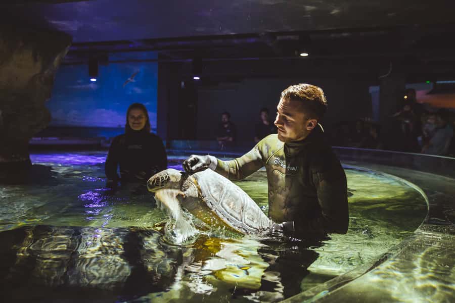 Sea Life Kelly Tarlton's Aquarium General Admission - Practical advice for a smoother visit