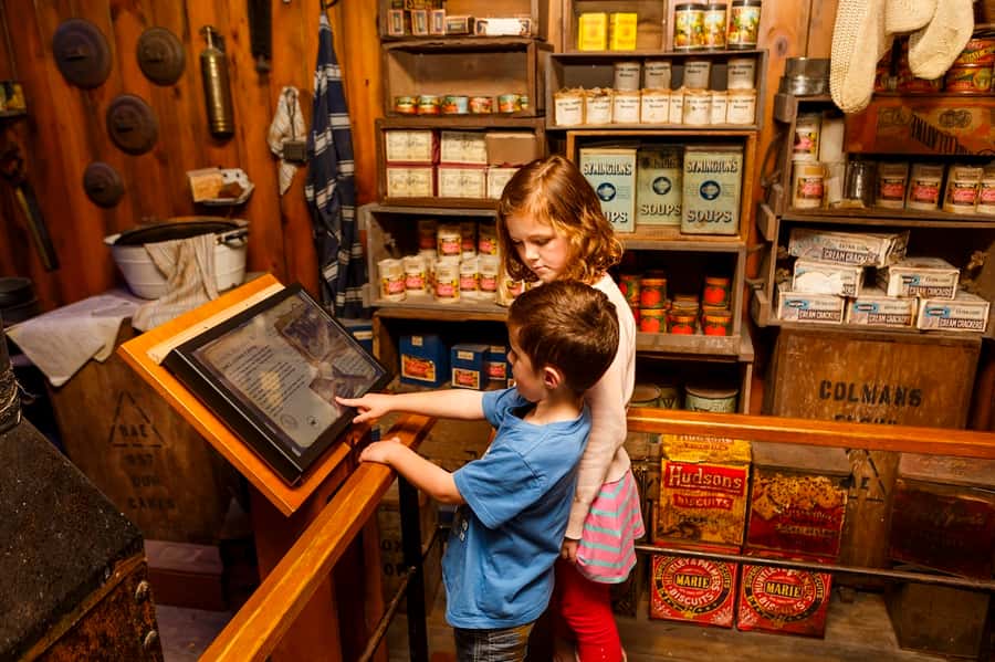 Sea Life Kelly Tarlton's Aquarium General Admission - Sharks, stingrays, and the famous underwater tunnel
