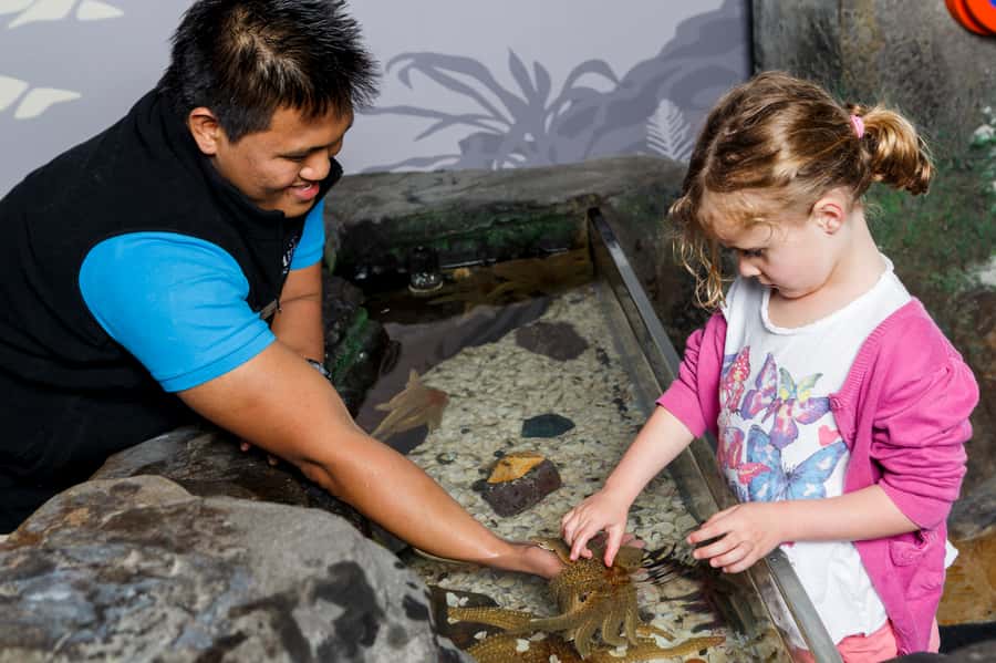 Sea Life Kelly Tarlton's Aquarium General Admission - How long should you stay?