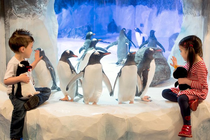 SEA LIFE Kelly Tarlton's General Admission - Key Points Before You Go