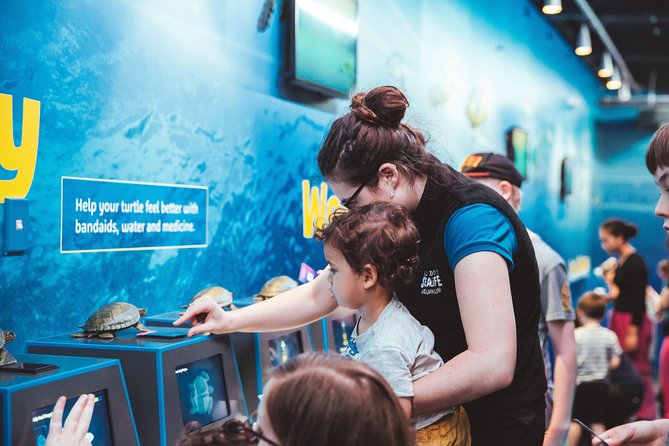 SEA LIFE Kelly Tarlton's General Admission - How Long to Allow, and What the Visit Feels Like