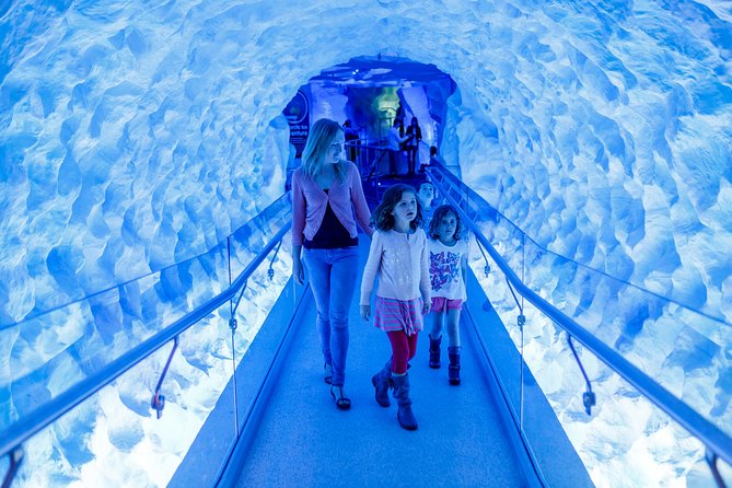 SEA LIFE Kelly Tarlton's General Admission - Practical Details That Can Save You Trouble