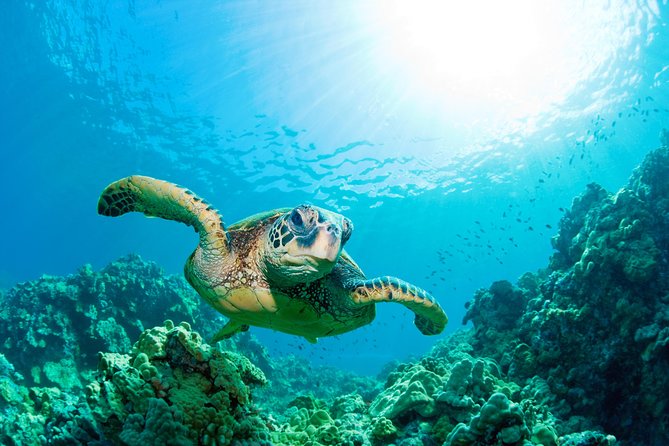 SEA LIFE Loch Lomond General Admission Ticket - Is $19.22 good value?