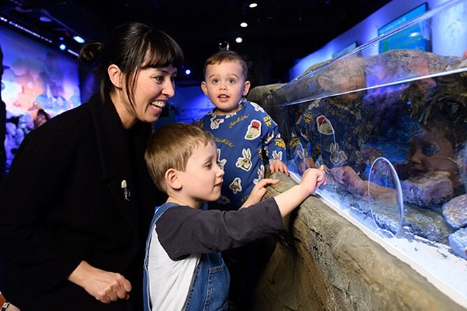 SEA LIFE London Aquarium Admission Ticket - What the $38.48 admission gets you