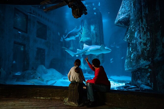 SEA LIFE London Aquarium Admission Ticket - Penguins, turtles, jellyfish, and quiet favorites