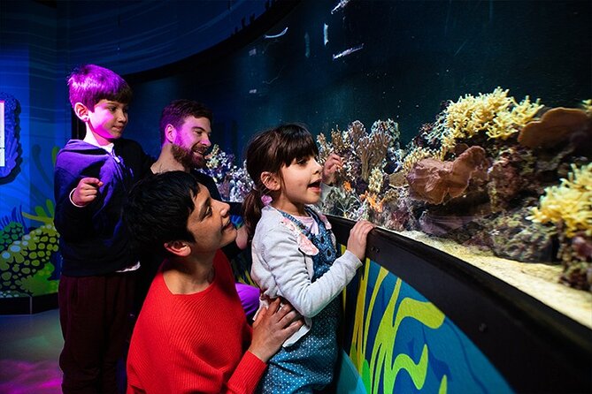 SEA LIFE London Aquarium Admission Ticket - Talks, feedings, touch pools, and virtual reality