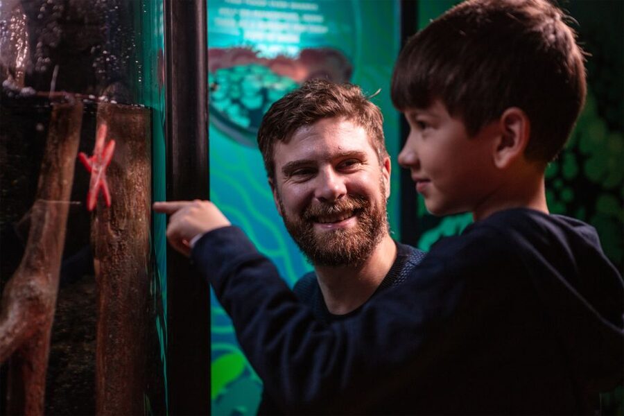 SEA LIFE London & DreamWorks Shrek's Adventure: Combo Ticket - Two London attractions with very different rhythms