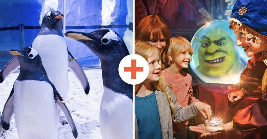 SEA LIFE London & DreamWorks Shrek's Adventure: Combo Ticket - The Shark Walk and the aquarium’s family value