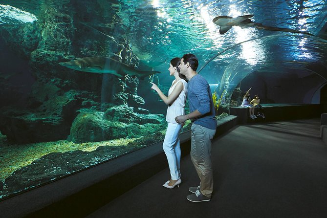 SEA LIFE & Madame Tussauds: Ultimate Bangkok Combo Ticket - How much time should you allow?