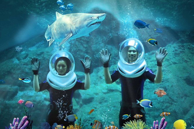 SEA LIFE & Madame Tussauds: Ultimate Bangkok Combo Ticket - Who will enjoy this combo most?
