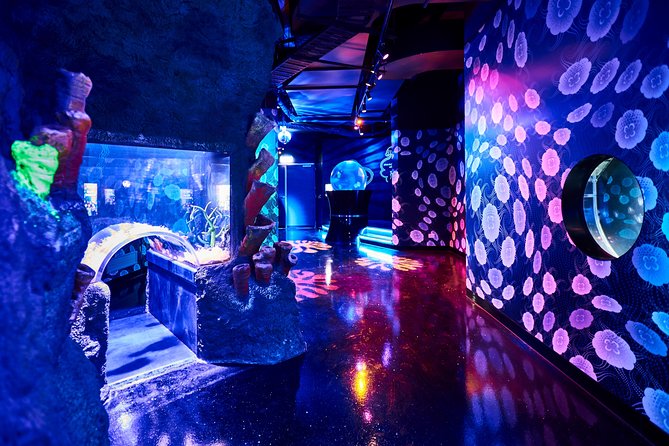 SEA LIFE Melbourne Aquarium Admission Ticket - Croc Lair and Australia’s unusual residents