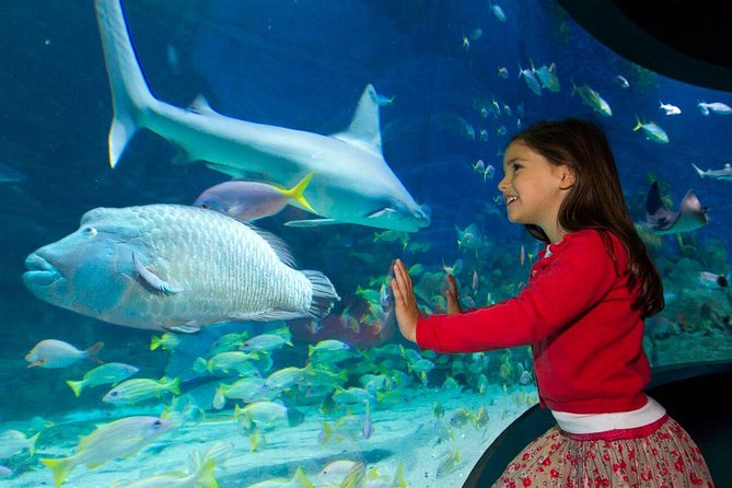SEA LIFE Melbourne Aquarium Admission Ticket - Crowd control, access, and the best time to visit