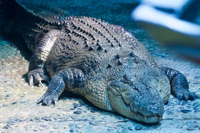 SEA LIFE Melbourne Aquarium Admission Ticket - Is $27.97 good value?