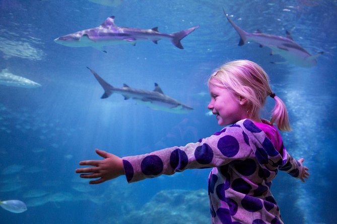 SEA LIFE Michigan Aquarium Admission Ticket - What makes this aquarium worth considering
