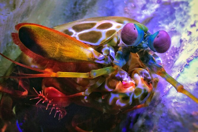 SEA LIFE Michigan Aquarium Admission Ticket - Is the experience best for young children?