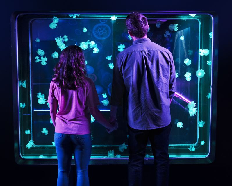 SEA LIFE Michigan Aquarium General Admission - Starting at Entrance 7 in Auburn Hills