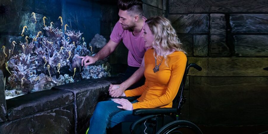 SEA LIFE Michigan Aquarium General Admission - Practical tips for a smoother visit