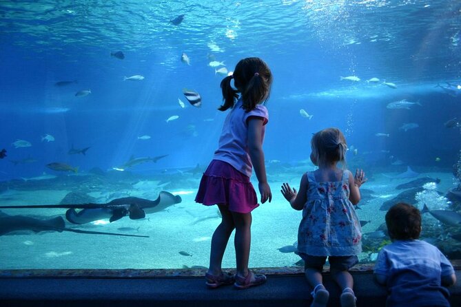 SEA LIFE Munich Admission Ticket - Quick facts worth knowing