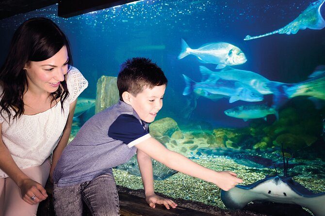 SEA LIFE Munich Admission Ticket - Is one to two hours realistic?