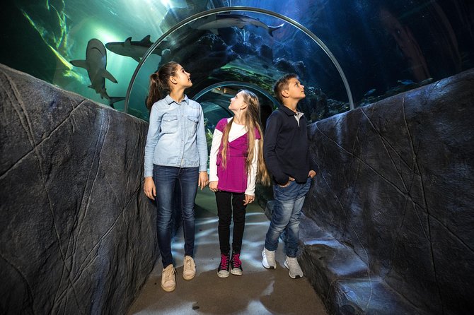 SEA LIFE Munich Admission Ticket - Crowds, comfort, and the best time to go