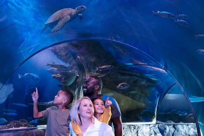 SEA LIFE New Jersey Admission Tickets at American Dream - Quick points to know