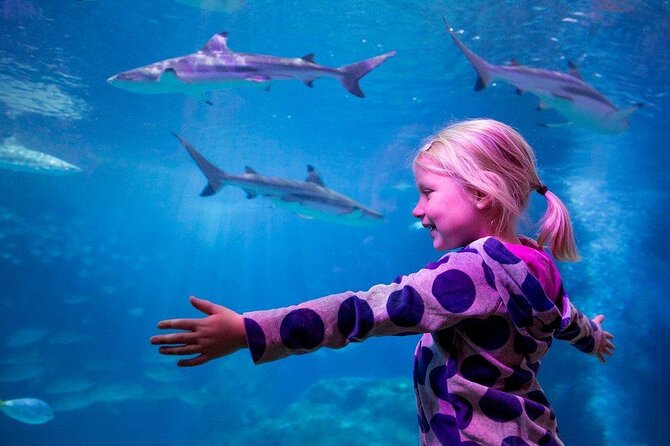 SEA LIFE Oberhausen Admission Ticket - Five things to know before you go