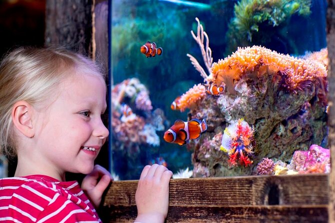 SEA LIFE Oberhausen Admission Ticket - Starting at Zum Aquarium 1 in Oberhausen