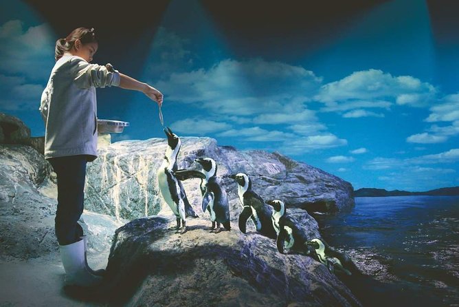 SEA LIFE Ocean World at Bangkok Admission Ticket - The ticket, timing, and possible booking trouble