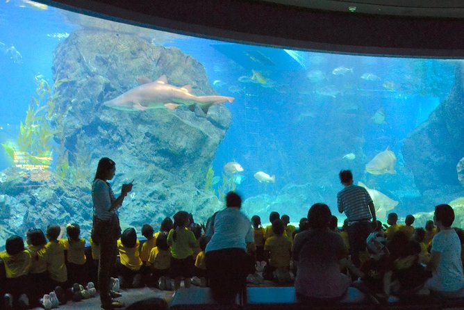 SEA LIFE Ocean World at Bangkok Admission Ticket - What the aquarium does well, and where it falls short