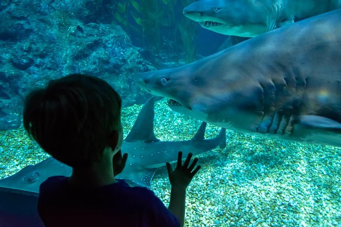 SEA LIFE Ocean World at Bangkok Admission Ticket - Should you book it?