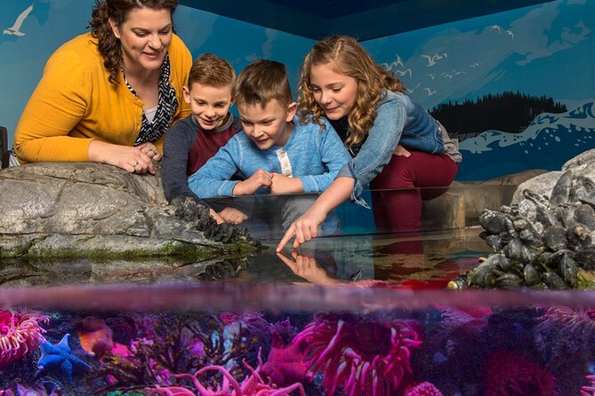 SEA LIFE Orlando Aquarium Admission Ticket at ICON Park - A Florida-themed route from wetlands to the Gulf