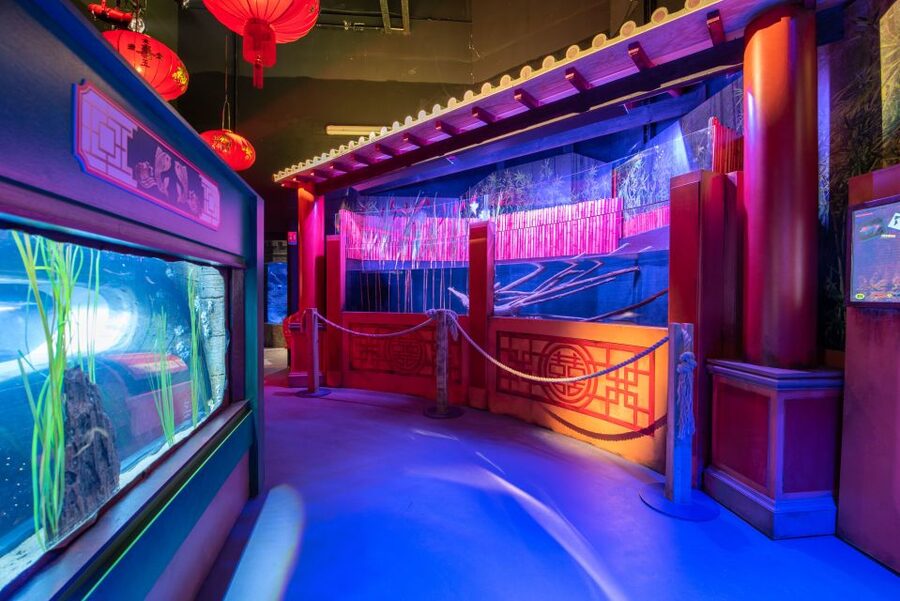 SEA LIFE Paris: Admission Ticket - Is the $28 ticket good value?