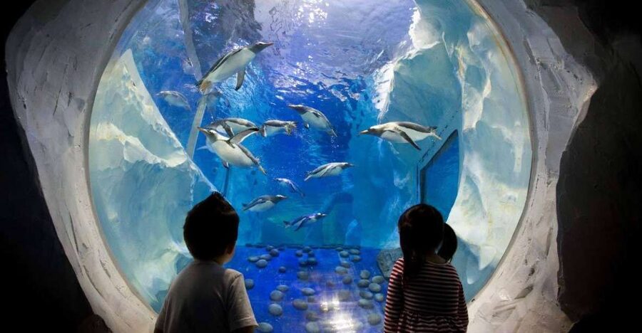 SEA LIFE Paris: Admission Ticket - What SEA LIFE Paris is like