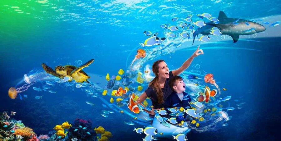 SEA LIFE Paris: Admission Ticket - Daily talks and feeding sessions
